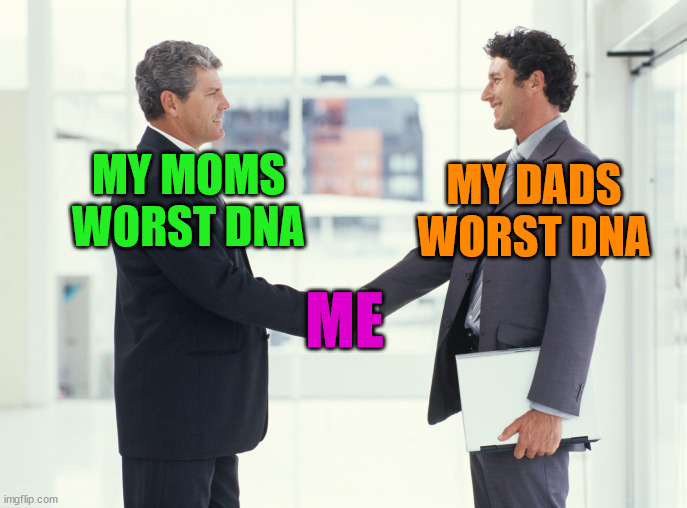 Guys shaking hands meme | MY DADS WORST DNA; MY MOMS WORST DNA; ME | image tagged in guys shaking hands meme | made w/ Imgflip meme maker