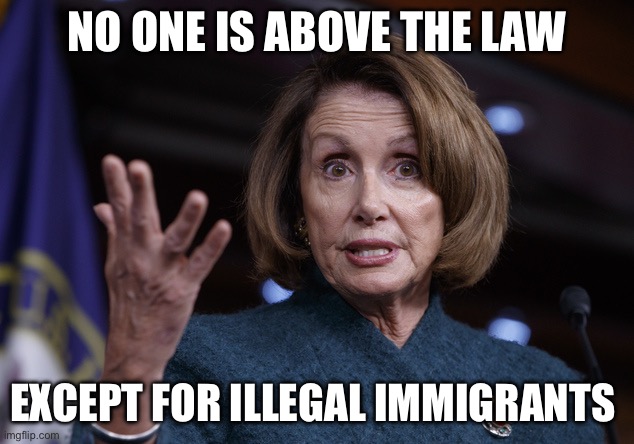 Good old Nancy Pelosi | NO ONE IS ABOVE THE LAW; EXCEPT FOR ILLEGAL IMMIGRANTS | image tagged in good old nancy pelosi | made w/ Imgflip meme maker