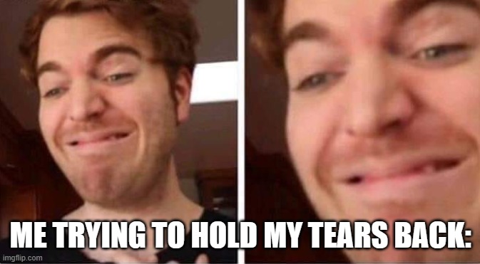 So true ngl XD | ME TRYING TO HOLD MY TEARS BACK: | image tagged in cry | made w/ Imgflip meme maker
