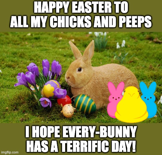 Happy Easter | HAPPY EASTER TO ALL MY CHICKS AND PEEPS; I HOPE EVERY-BUNNY HAS A TERRIFIC DAY! | image tagged in easter bunny | made w/ Imgflip meme maker