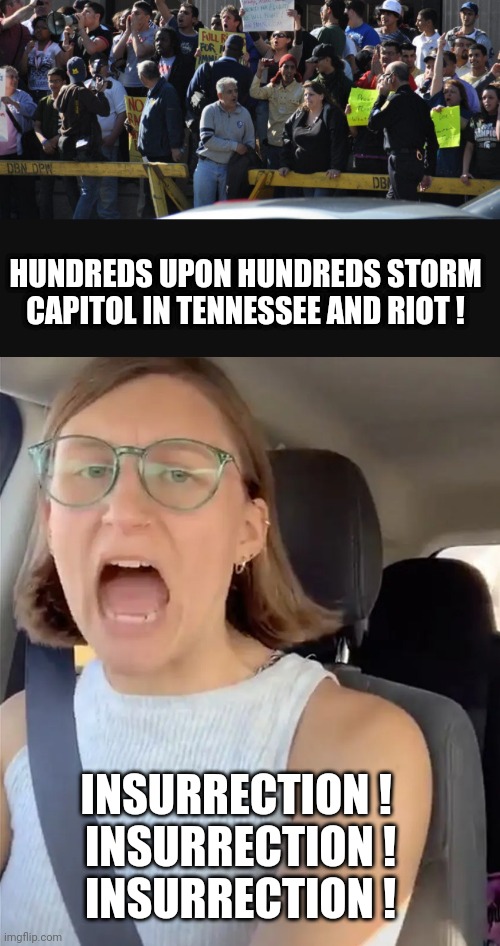 Leftism Twisting Truth | HUNDREDS UPON HUNDREDS STORM CAPITOL IN TENNESSEE AND RIOT ! INSURRECTION ! 
INSURRECTION !
INSURRECTION ! | image tagged in unhinged liberal lunatic idiot woman meltdown screaming in car,liberals,democrats,leftists,trans | made w/ Imgflip meme maker