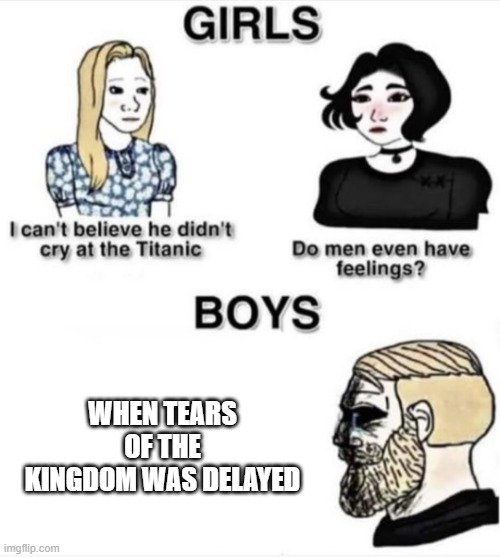 totk delay | WHEN TEARS OF THE KINGDOM WAS DELAYED | image tagged in do men even have feelings | made w/ Imgflip meme maker
