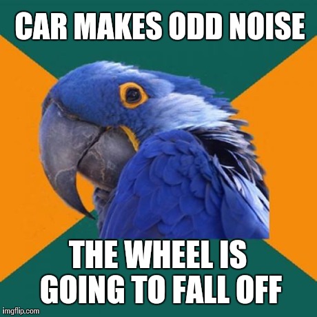 Paranoid Parrot | CAR MAKES ODD NOISE THE WHEEL IS GOING TO FALL OFF | image tagged in memes,paranoid parrot,AdviceAnimals | made w/ Imgflip meme maker