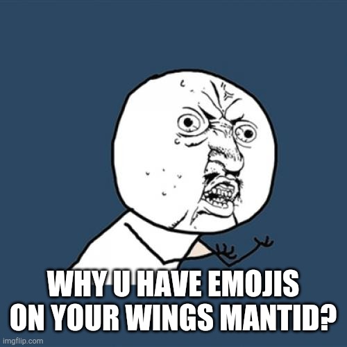 Y U No Meme | WHY U HAVE EMOJIS ON YOUR WINGS MANTID? | image tagged in memes,y u no | made w/ Imgflip meme maker