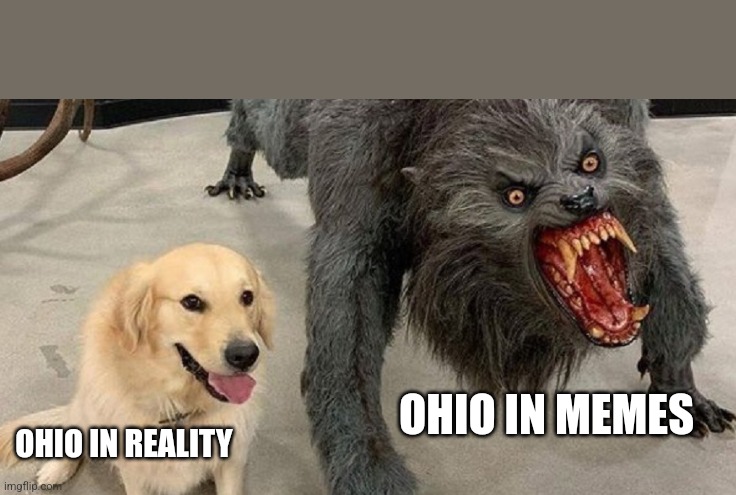 dog next to werewolf | OHIO IN MEMES; OHIO IN REALITY | image tagged in dog next to werewolf | made w/ Imgflip meme maker