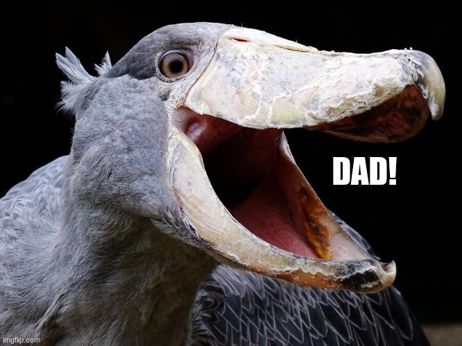 DAD! | made w/ Imgflip meme maker