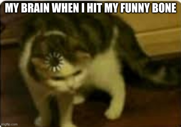 Buffering cat | MY BRAIN WHEN I HIT MY FUNNY BONE | image tagged in buffering cat | made w/ Imgflip meme maker