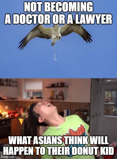 bird poop | NOT BECOMING A DOCTOR OR A LAWYER; WHAT ASIANS THINK WILL HAPPEN TO THEIR DONUT KID | image tagged in bird poop | made w/ Imgflip meme maker