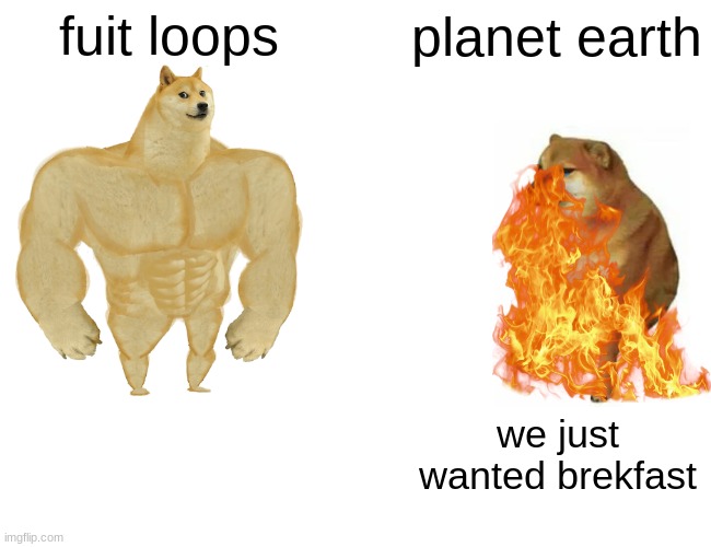 fuit loops planet earth we just wanted brekfast | image tagged in memes,buff doge vs cheems | made w/ Imgflip meme maker