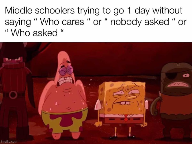 image tagged in memes | made w/ Imgflip meme maker