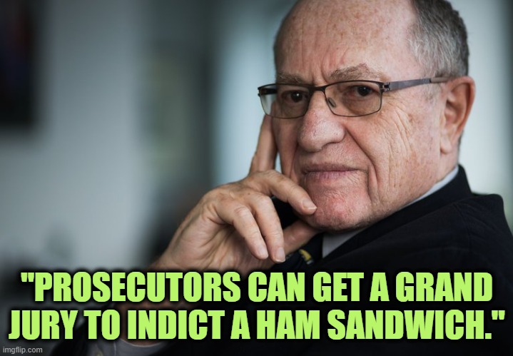 Alan Dershowitz | "PROSECUTORS CAN GET A GRAND JURY TO INDICT A HAM SANDWICH." | image tagged in alan dershowitz | made w/ Imgflip meme maker