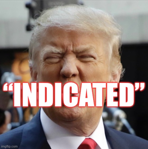 Donald Trump is upset about being “indicated”, imagine when he finds out he was indicted as well. | “INDICATED” | image tagged in donald trump,indicted,felon,guilty,lock him up,habitual liar | made w/ Imgflip meme maker