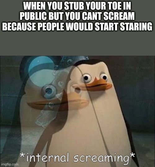 fbshgvbbvkzhfd | WHEN YOU STUB YOUR TOE IN PUBLIC BUT YOU CANT SCREAM BECAUSE PEOPLE WOULD START STARING | image tagged in private internal screaming | made w/ Imgflip meme maker