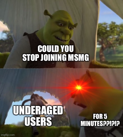 COULD YOU STOP JOINING MSMG; UNDERAGED USERS; FOR 5 MINUTES??!?!? | made w/ Imgflip meme maker