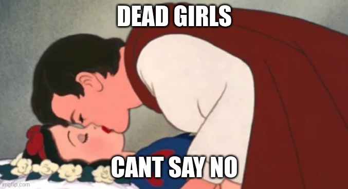 Can't say no | DEAD GIRLS; CANT SAY NO | image tagged in snow white,funny,memes,dark humor,stupid,stop reading the tags | made w/ Imgflip meme maker
