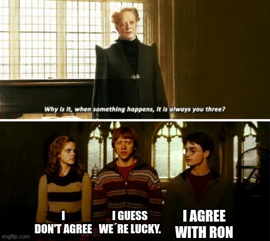 Always you three | I AGREE WITH RON; I DON'T AGREE; I GUESS WE´RE LUCKY. | image tagged in always you three | made w/ Imgflip meme maker