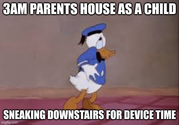 sneak sneak | 3AM PARENTS HOUSE AS A CHILD; SNEAKING DOWNSTAIRS FOR DEVICE TIME | image tagged in sneak 100,duck,donald duck | made w/ Imgflip meme maker