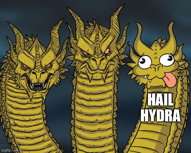 Three-headed Dragon | HAIL HYDRA | image tagged in three-headed dragon | made w/ Imgflip meme maker