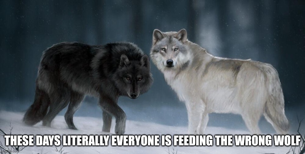 Many are doing it deliberately | THESE DAYS LITERALLY EVERYONE IS FEEDING THE WRONG WOLF | image tagged in memes,commentary,two wolves | made w/ Imgflip meme maker