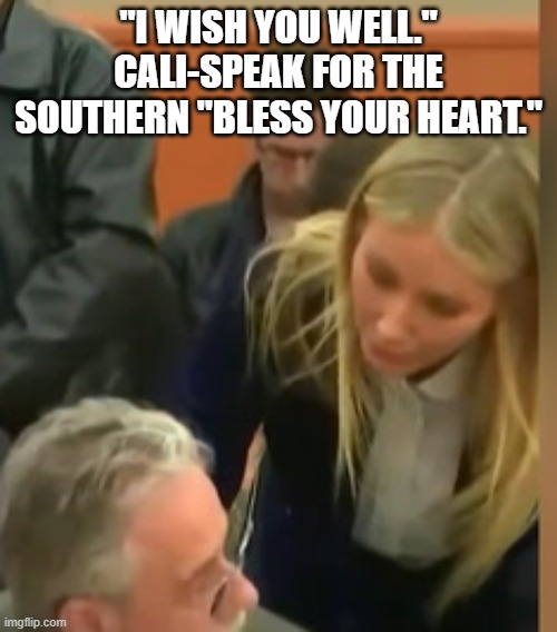 I wish you well | "I WISH YOU WELL." CALI-SPEAK FOR THE SOUTHERN "BLESS YOUR HEART." | image tagged in gwyneth paltrow | made w/ Imgflip meme maker