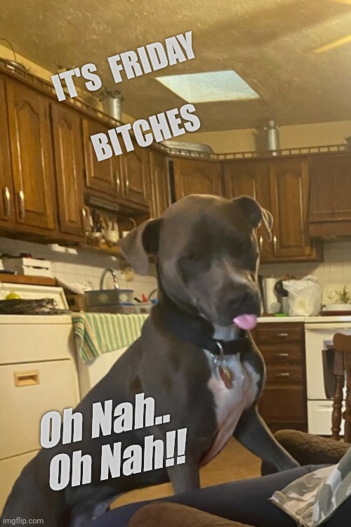 Oh Nah.. Oh Nah!! | IT'S  FRIDAY
 
BITCHES; Oh Nah.. 
 Oh Nah!! | image tagged in tank | made w/ Imgflip meme maker