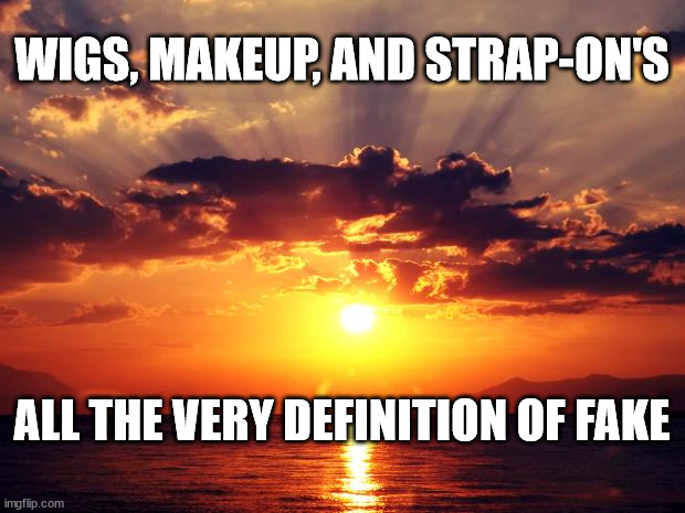 Sunset | WIGS, MAKEUP, AND STRAP-ON'S; ALL THE VERY DEFINITION OF FAKE | image tagged in sunset | made w/ Imgflip meme maker