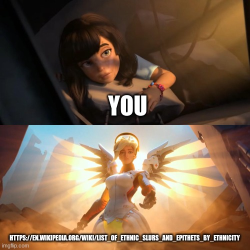 Overwatch Mercy Meme | YOU HTTPS://EN.WIKIPEDIA.ORG/WIKI/LIST_OF_ETHNIC_SLURS_AND_EPITHETS_BY_ETHNICITY | image tagged in overwatch mercy meme | made w/ Imgflip meme maker