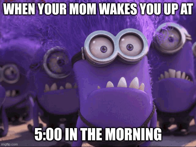 5:00 In the morning | WHEN YOUR MOM WAKES YOU UP AT; 5:00 IN THE MORNING | image tagged in minions | made w/ Imgflip meme maker