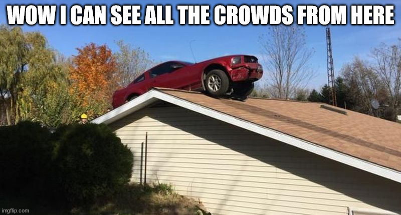 Mustang on a roof | WOW I CAN SEE ALL THE CROWDS FROM HERE | image tagged in mustang on a roof | made w/ Imgflip meme maker