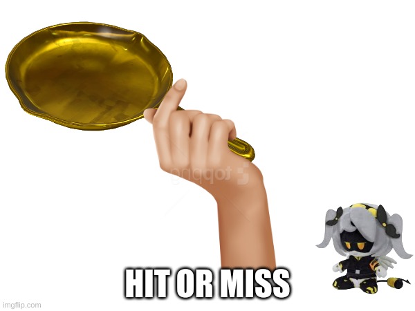 hit or miss | HIT OR MISS | image tagged in hit or miss | made w/ Imgflip meme maker