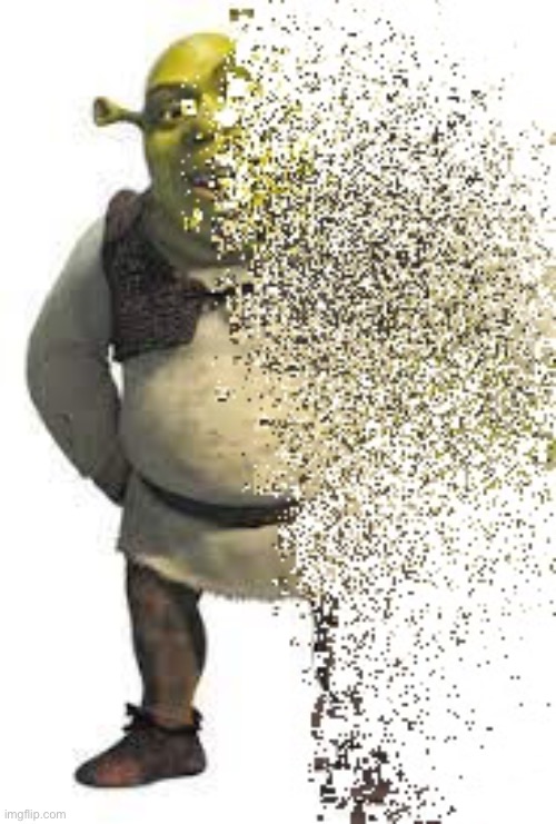 Disintegrating Shrek | image tagged in disintegrating shrek | made w/ Imgflip meme maker
