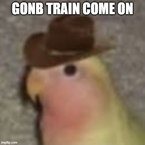 Gonb | GONB TRAIN COME ON | image tagged in gonb | made w/ Imgflip meme maker