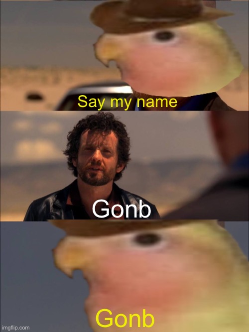Gonb | Say my name; Gonb; Gonb | image tagged in breaking bad - say my name,gonb,what am i doing with my life | made w/ Imgflip meme maker