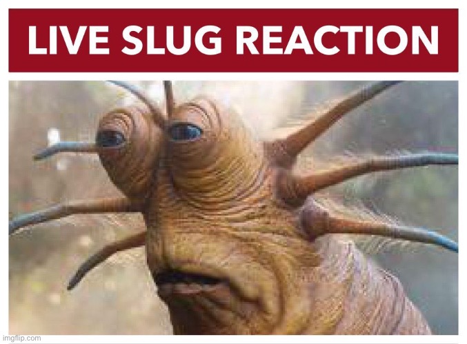 Live slug reaction | image tagged in live slug reaction | made w/ Imgflip meme maker