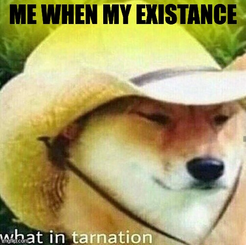 my friend be like | ME WHEN MY EXISTANCE | image tagged in what in tarnation dog,exist | made w/ Imgflip meme maker