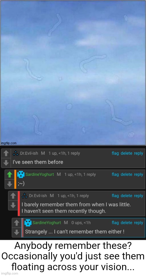 I only remember it way back when I was little. Occasionally I'd just see this little worm thing floating around | Anybody remember these? Occasionally you'd just see them floating across your vision... | made w/ Imgflip meme maker