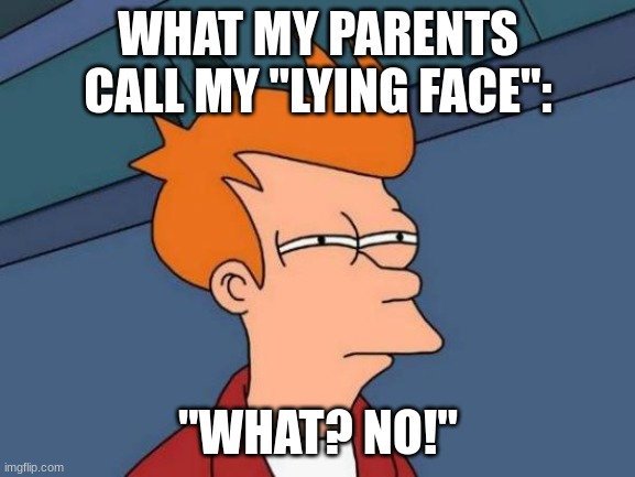 what | WHAT MY PARENTS CALL MY "LYING FACE":; "WHAT? NO!" | image tagged in memes,futurama fry | made w/ Imgflip meme maker