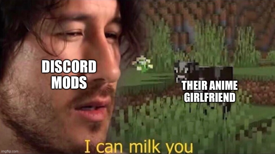 Random | DISCORD MODS; THEIR ANIME GIRLFRIEND | image tagged in i can milk you template | made w/ Imgflip meme maker