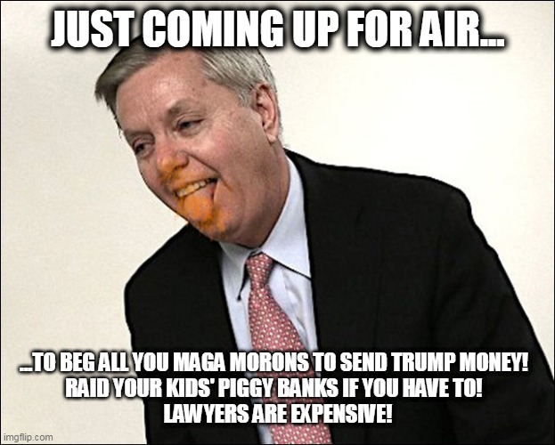 Send Trump Money | JUST COMING UP FOR AIR... ...TO BEG ALL YOU MAGA MORONS TO SEND TRUMP MONEY!  
RAID YOUR KIDS' PIGGY BANKS IF YOU HAVE TO!  
LAWYERS ARE EXPENSIVE! | image tagged in maga 2024,trump,maga,trump2024 | made w/ Imgflip meme maker