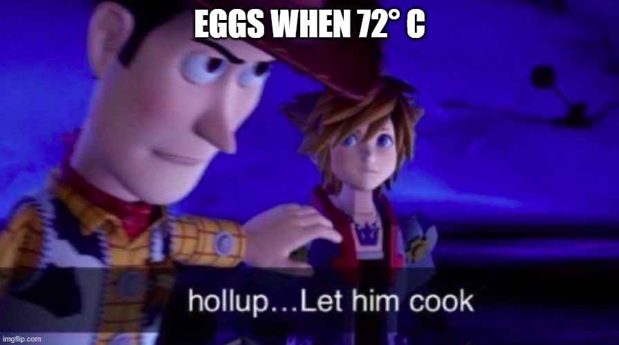 Let Him Cook | EGGS WHEN 72° C | image tagged in let him cook | made w/ Imgflip meme maker
