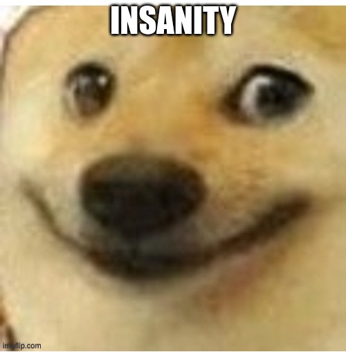 insane | INSANITY | image tagged in insanity | made w/ Imgflip meme maker