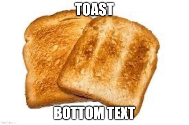 100% | TOAST; BOTTOM TEXT | image tagged in toast | made w/ Imgflip meme maker