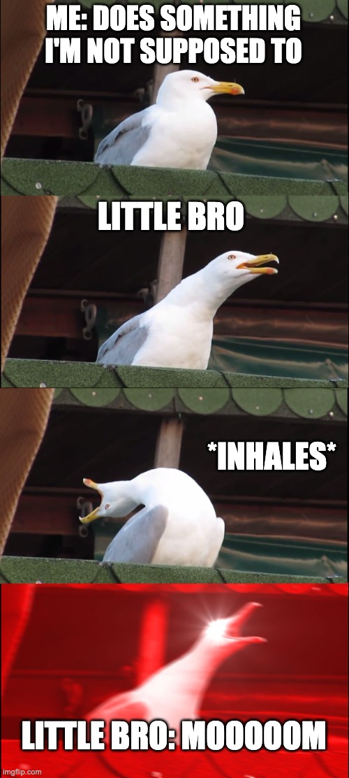 Inhaling Seagull Meme | ME: DOES SOMETHING I'M NOT SUPPOSED TO; LITTLE BRO; *INHALES*; LITTLE BRO: MOOOOOM | image tagged in memes,inhaling seagull | made w/ Imgflip meme maker