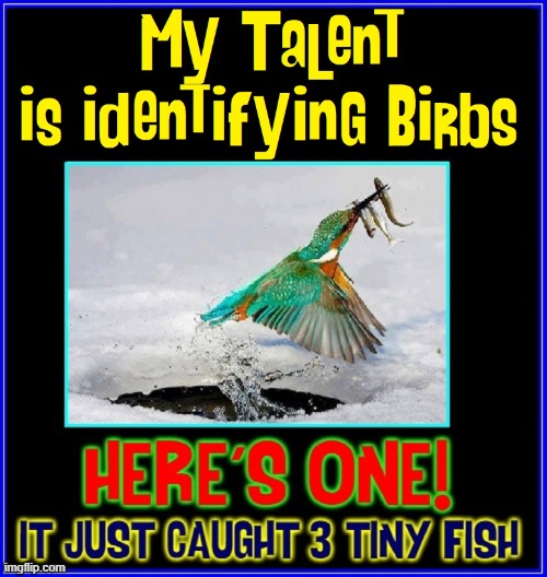 Lee Tell Birb | image tagged in vince vance,birb,memes,kingfisher,minnows,birds | made w/ Imgflip meme maker