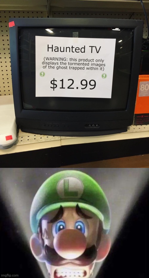 Haunted TV | image tagged in scared luigi,haunted,tv,memes,fake product,television | made w/ Imgflip meme maker