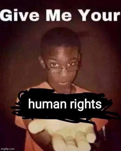 Give Me Your Human Rights | image tagged in give me your human rights | made w/ Imgflip meme maker