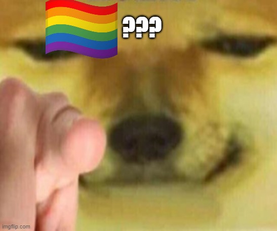 Cheems Pointing At You | ??? | image tagged in cheems pointing at you | made w/ Imgflip meme maker