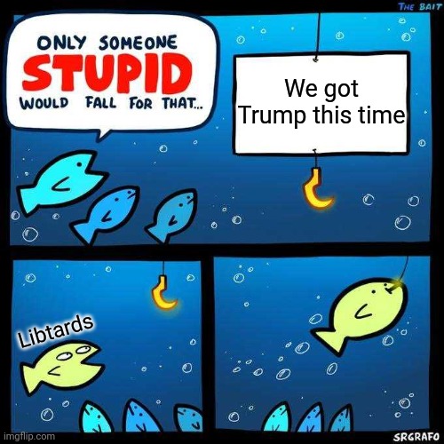 Only someone stupid would fall for that | We got Trump this time; Libtards | image tagged in only someone stupid would fall for that | made w/ Imgflip meme maker