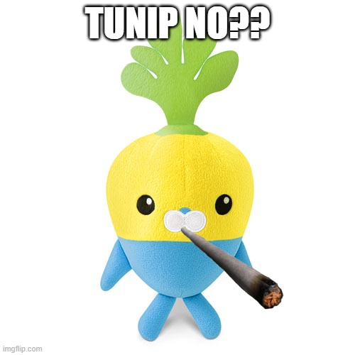 TUNIP NO?? | image tagged in tunip plush | made w/ Imgflip meme maker