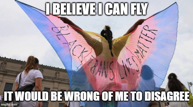 Affirming care | I BELIEVE I CAN FLY; IT WOULD BE WRONG OF ME TO DISAGREE | image tagged in gender equality,transgender | made w/ Imgflip meme maker